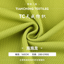 现货跨境肌理凹凸感泡泡针织提花布料 涤纶涤氨弹力女装提花面料
