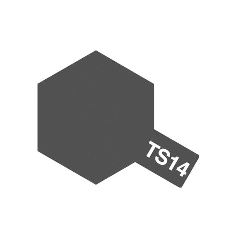 TAMIYA model special TS spray can/hand spray paint (100ml) TS1~TS56