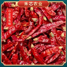 印度魔鬼椒魔鬼辣椒特辣超辣适合辣椒干辣椒酱咖喱肉类腌料批发
