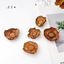 【椰子花】天然复古泰国进口干花干果拍摄道具样板房植物装饰干花