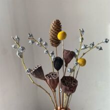 �S�����l��Ȼ�ɹ��ɻ��ɹ����ɏ��Ǭ�ﻨ���W�Ӽ��b[��