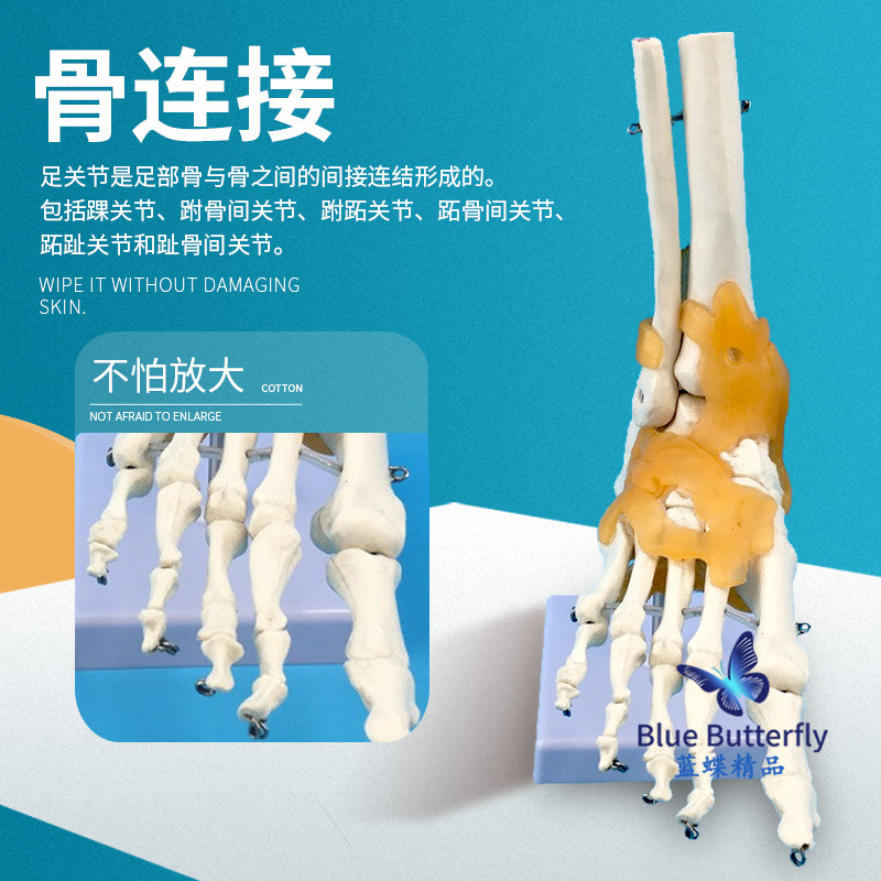 1:1�Źؽ�ģ�� ��������ؽ� �����㲿ģ�� ��ѧ��ѵר�ù���ģ��