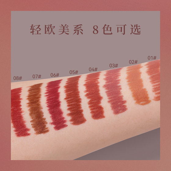 Cross-border DEROL matte lipstick lip liner novice easy to use high color velvet matte lipstick lip liner