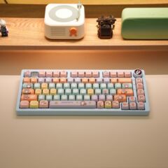 PBT 昇華型キーキャップ MOA 高さフル 5 面かわいいアライグマ 5 面メカニカルキーボードユニバーサルフルセットキーキャップ