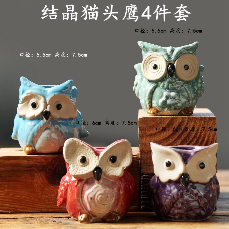 结晶猫头鹰4件套