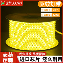 ����ֱ��220v��ѹ���û���������������ܻƹ⹤�̿�ƴ�led����