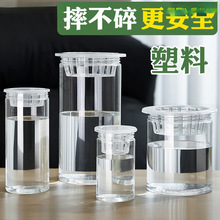 ˮ����������͸���A���λ����߲˶��N�Ӷ�����֦�t����ֲ�@�Nֲƿ