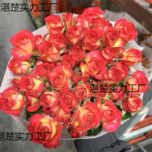 Orange Barbie Multi-Headed Rose Flower Bouquet Yunnan Kunming Base Direct Delivery Same-City Express Perfume Lily Flower Arrangement