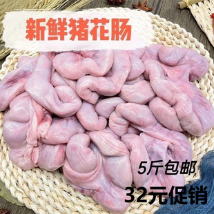 5���i���c�i���c�i���c�i���c�i���c�����c���i�����i�ӌm�i̥�P