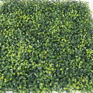 ����Gֲ��4�ӷ���50*50���m�ݠ��汳���b����l�����⾀���ϲ�Ƥ