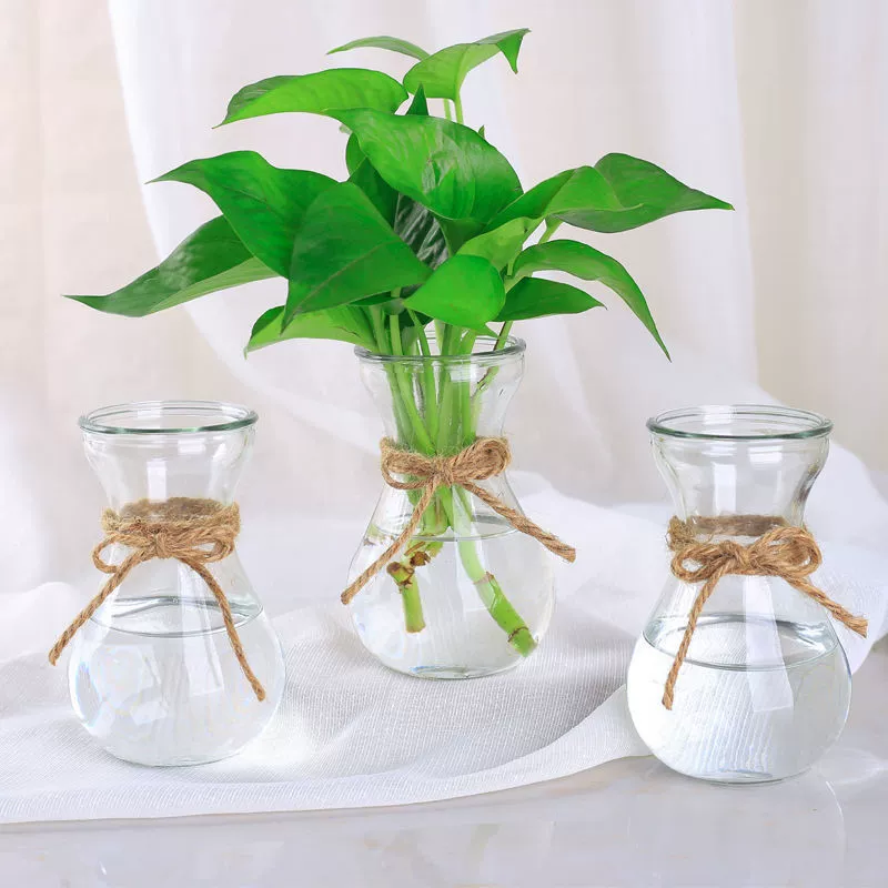 Оптовая продажа бутылки с гиацинтом, модная цветочная композиция, прозрачная стеклянная ваза, цветочный горшок