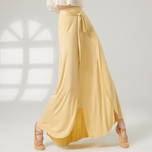 Ancient-style dance costume light wind skirt Chinese-style dance skirt dancing practice wear can be worn daily dance wear