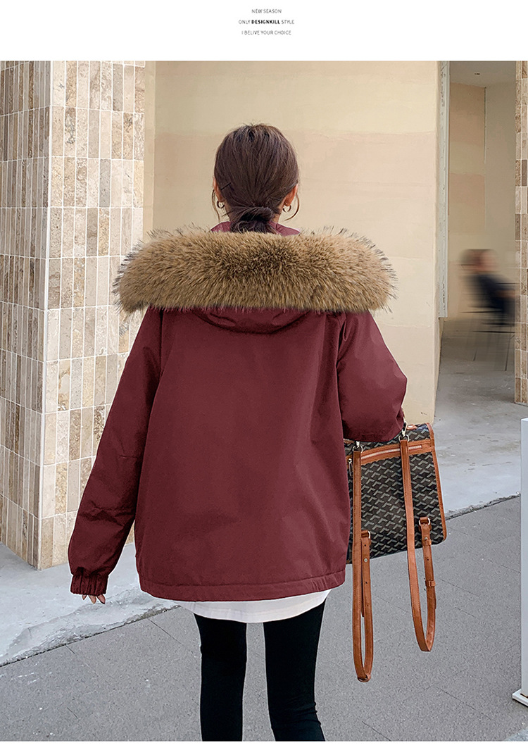 8813 (12).jpg