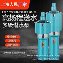 上海人民QY油浸小老鼠农用灌溉工程降水抽水泵多级泵高扬程潜水泵