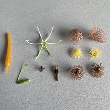 人造仿真花花芯配件香皂花假花芯绢花塑料琴心花蕊植物半成品批发