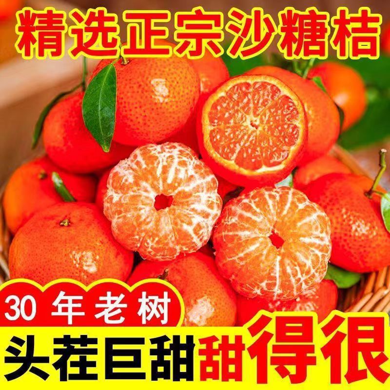 Freshly Picked Guangxi Seedless Sugar Oranges, Seasonal Fresh Fruit Oranges, Sugar Oranges, Super Sweet and Thin-Skinned Amazon