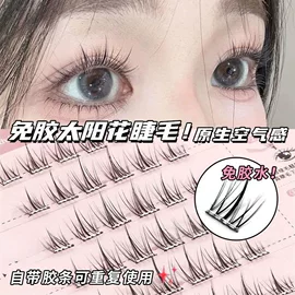 浓密款太阳花假睫毛 10排超大容量新手超自然睫毛三部曲单簇