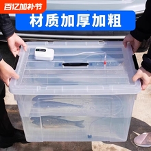 2025¿܇d~̖һwͶ๦͸û~Ͱ