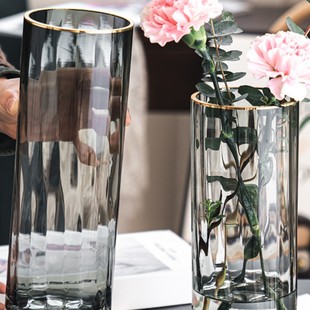 Light Luxury Creative Simple Primary Color Glass Vase Transparent Water-raised Flowers Lily Nordic Internet Celebrity Living Room Flower Ornaments