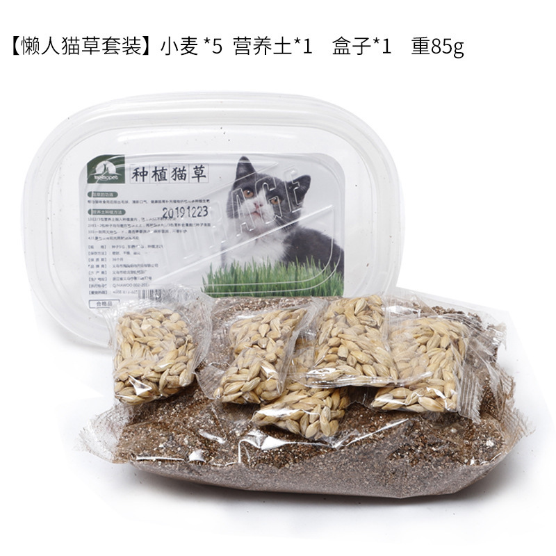 Set de hierba perezosa para gatos al por mayor bocadillos para gatos nutrientes suelo semillas de trigo en maceta bola de pellizco mascotas productos para gatos