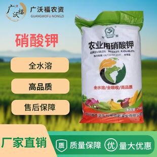 �V���ό��l؛ �r�I�������ȫˮ��ȫ���մ������lѿ���������L