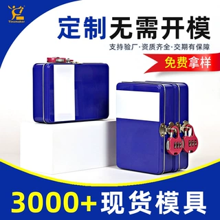 定制桌面收纳儿童储物盒化妆品首饰铁盒玩具盲盒保健品密码锁铁盒