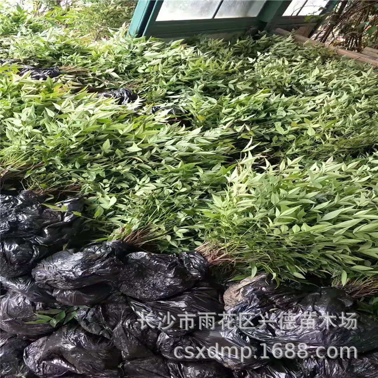 微信图片_20190903203705