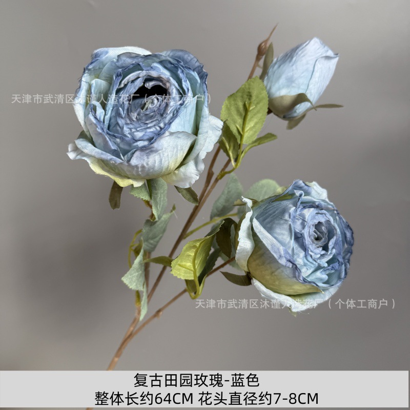 레트로 전원풍 장미