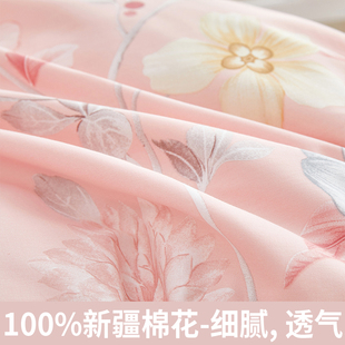 ♪纯棉枕套成人家用100枕头套大人48x74枕芯内胆套2025新款一