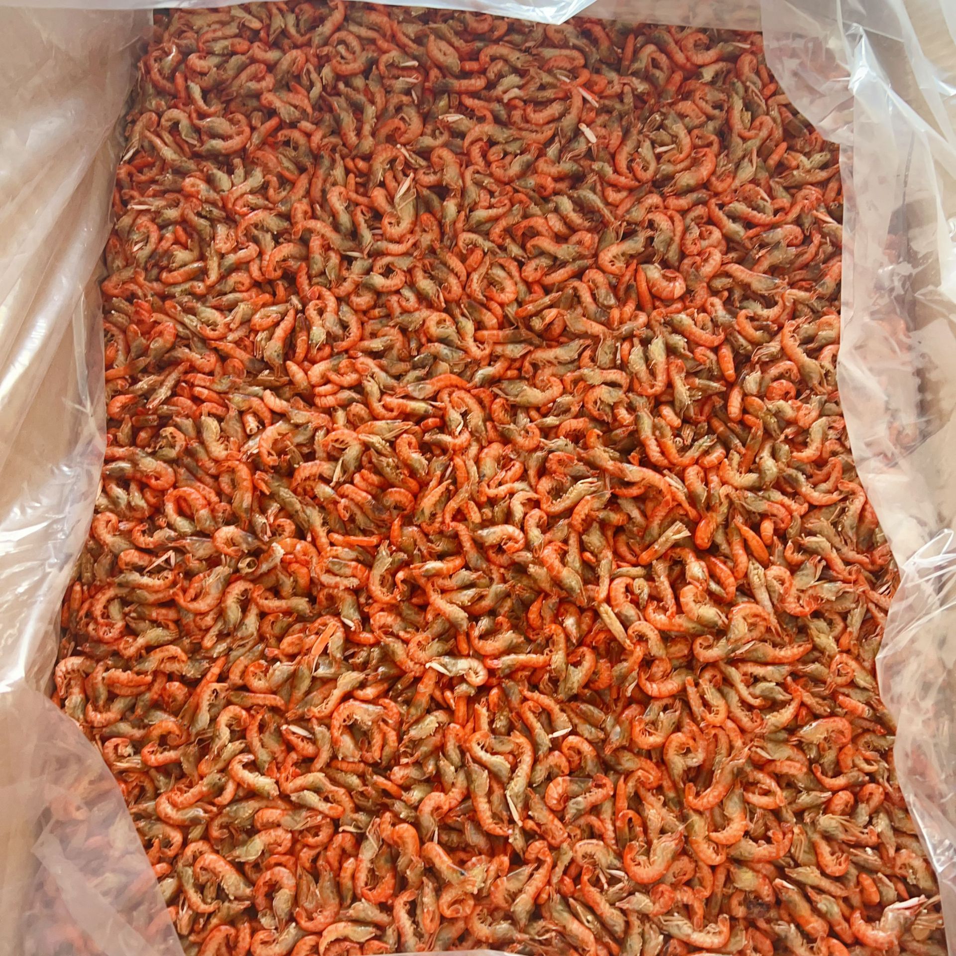 QQ图片20240825002332