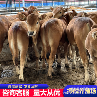 �V�|�Bֳ���ش��������������Sţ ��ţ�ك�������֪�R