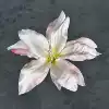 Silk 13CM lily flower head-new pink