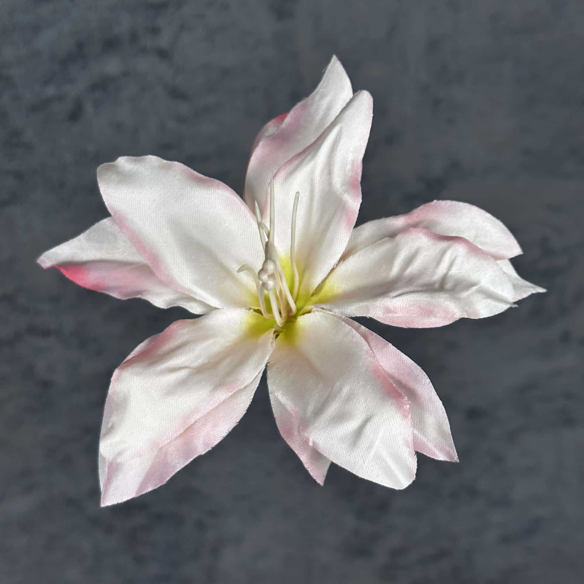 Cabeza de Lirio de Seda de 13 cm - Nuevo Rosa