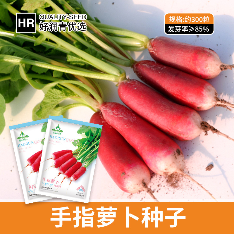 厂家批发手指萝卜种子拇指甜脆水果迷你小罗卜种籽红皮四季盆栽籽