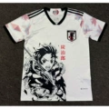 Japan 15