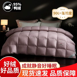 羽绒被;羽绒枕;羽毛、羽绒