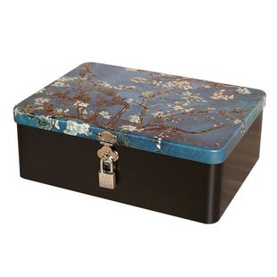 Small Box with Lock, Anti-Theft Home Safe, Hard Shell, Lockable Storage Box, Storage Safe, Small Iron Box