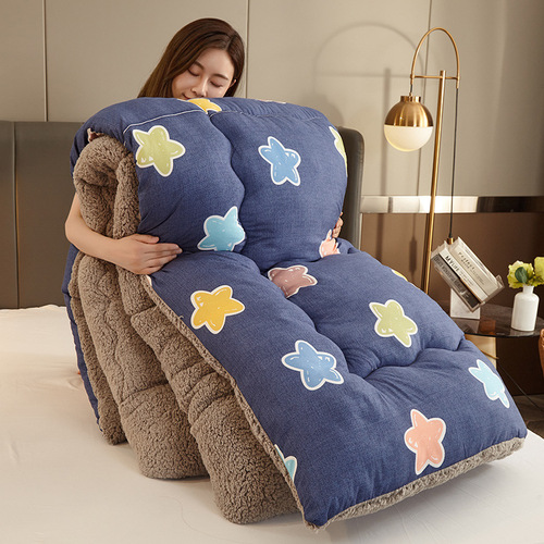 Cross-border brushed printed winter quilt lamb velvet quilt single double student dormitory quilt core air-conditioned quilt