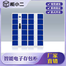学校人脸识别智能储物柜子商场刷卡微信扫码寄存柜超市电子存包柜