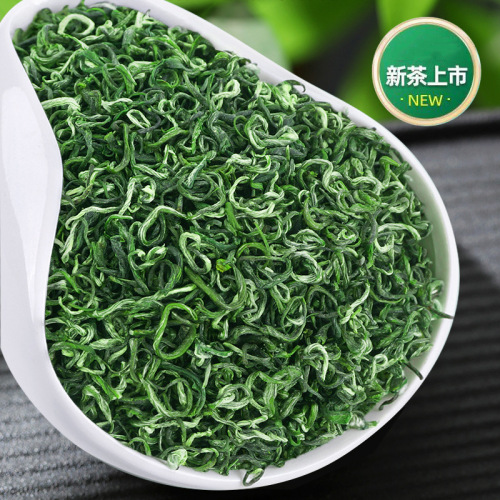 Biluochun new tea Mingqian bud green tea loose tea wholesale mountain cloud mist Dongting Hunan Biluochun