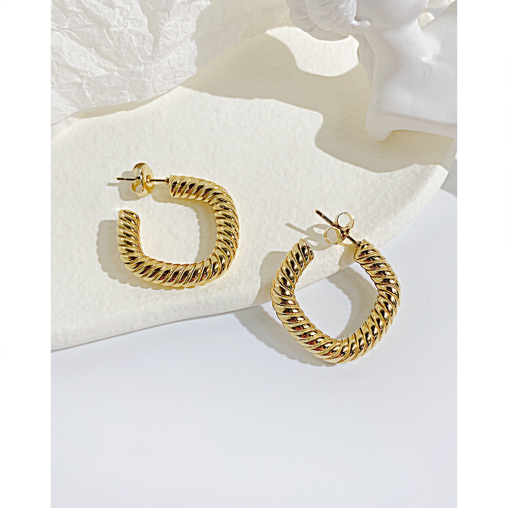 Fashion Solid Color Stainless Steel Earrings Stainless Steel Earrings