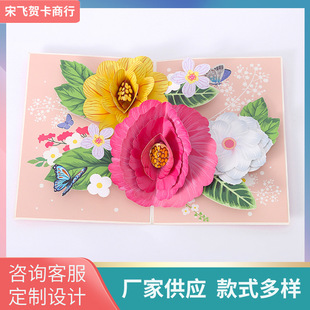 3D���w�R���ֹ�����ж����͹�̩��ʿ�����w���⽨�B�����U���R��