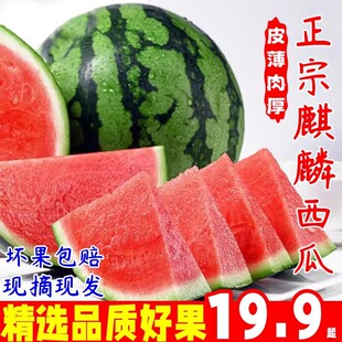 ���r��������4-5�ﮔ����Ƥժ������ɳȿ��ϱ���ܺ����˰�