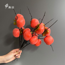 2026������2�^ʯ�������O�����Ӷ���t���lؔ�����긣Ͱ���滨