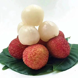 块茎类;瓜果类;苹果