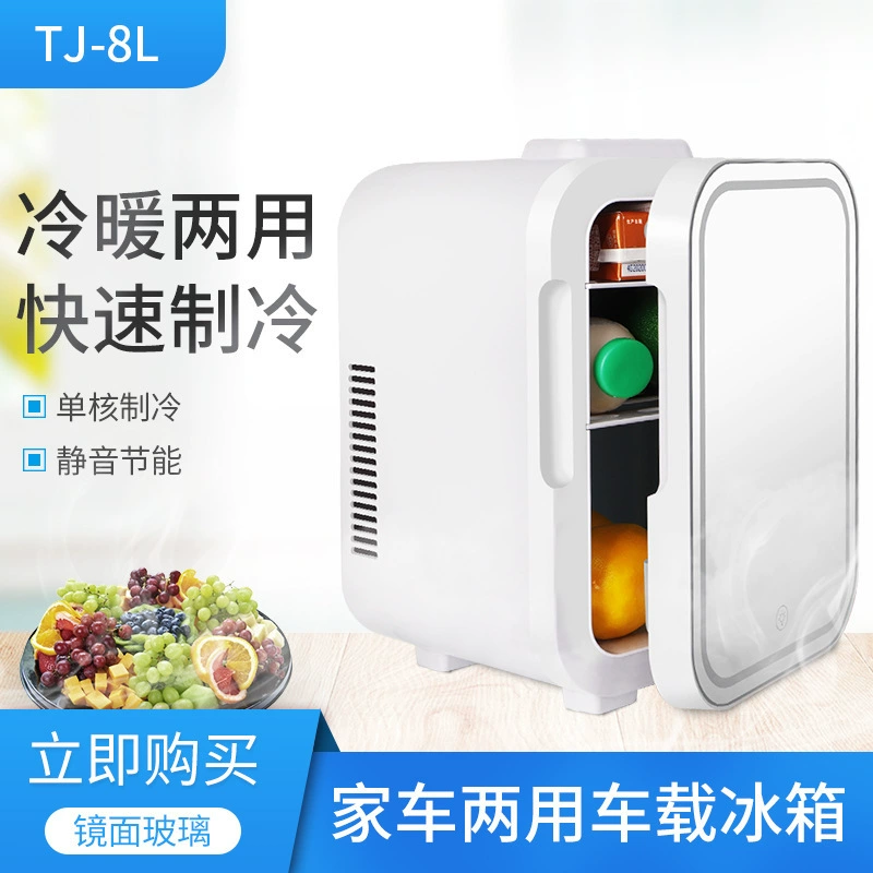8L Трансграничный европейский и американский автомобильный холодильник автомобиль двойного назначения мини-холодильник портативный холодильник с подогревом холодильного зеркала