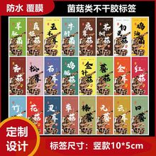 ¿zɽ녶ǾĢ˺NOӋ