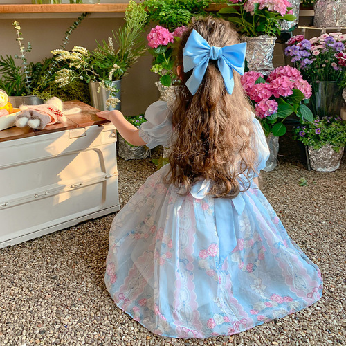 Girls Skirt 2024 New Lolita Baby Summer Princess Dress Little Girl Dress Children's Summer Dress