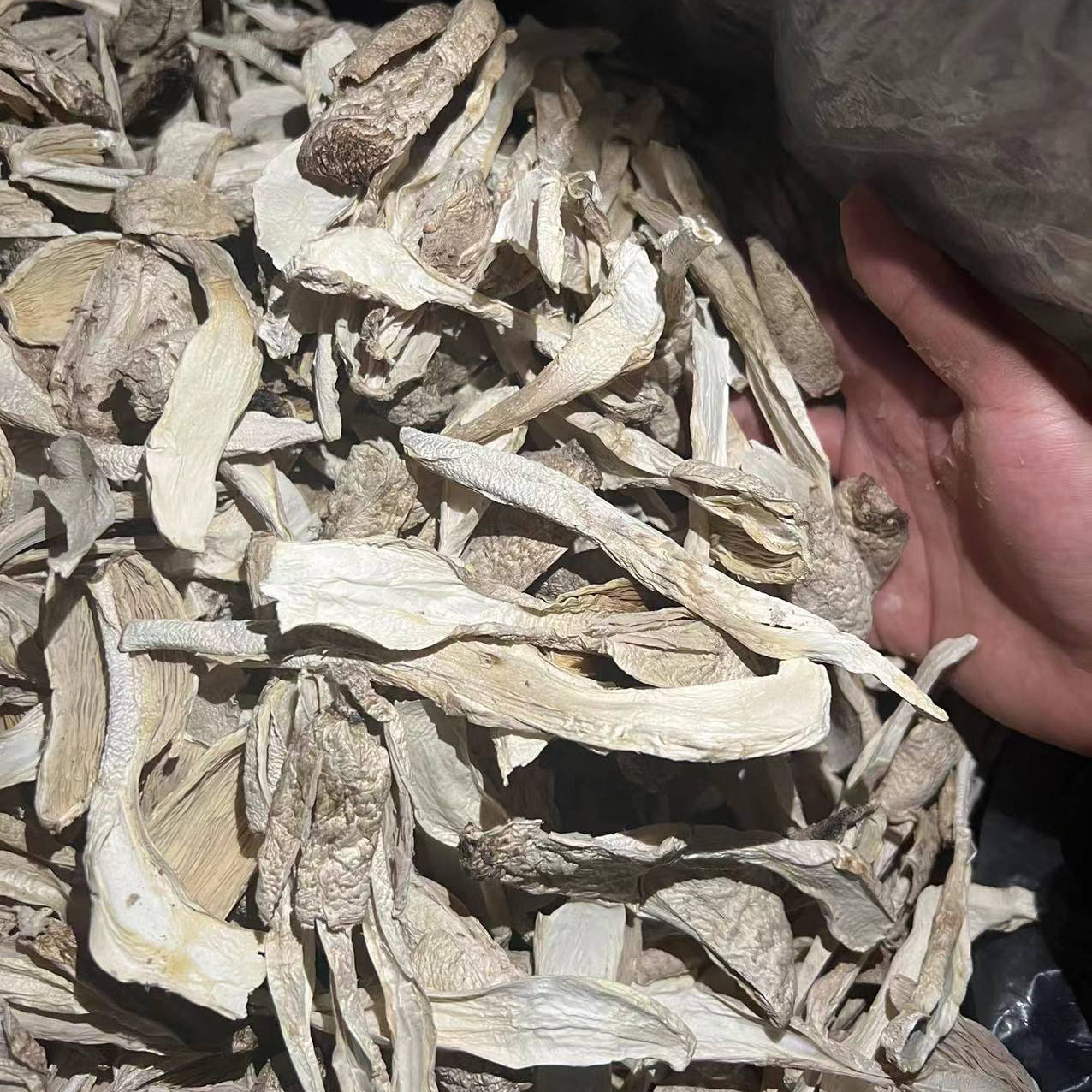 a585bfdd35c72cf62be3937cf9a8bc