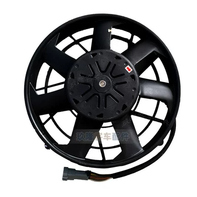 Digital Fan, Fan